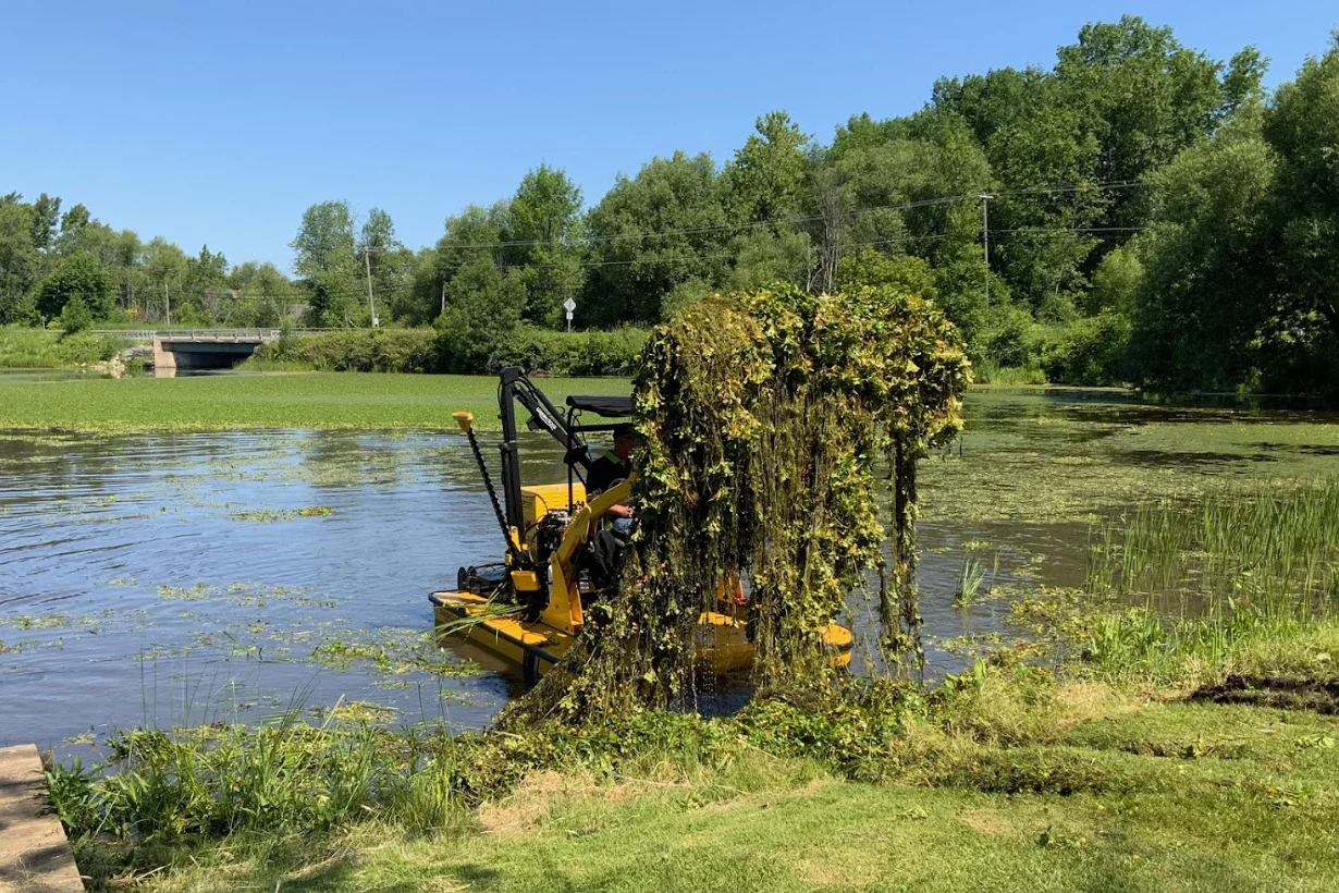 A Weedoo workboat lifting a rake load of vegetation clear of the water at a park pond